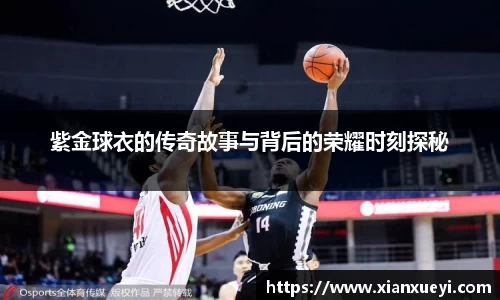 紫金球衣的传奇故事与背后的荣耀时刻探秘